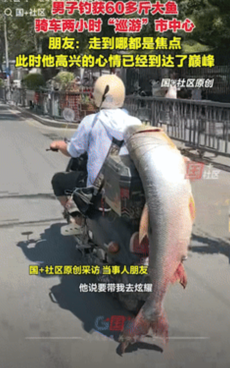 “都是命啊！”江西南昌，一男子钓获60多斤大鱼，为给众人炫耀，叫上朋友骑了2个多