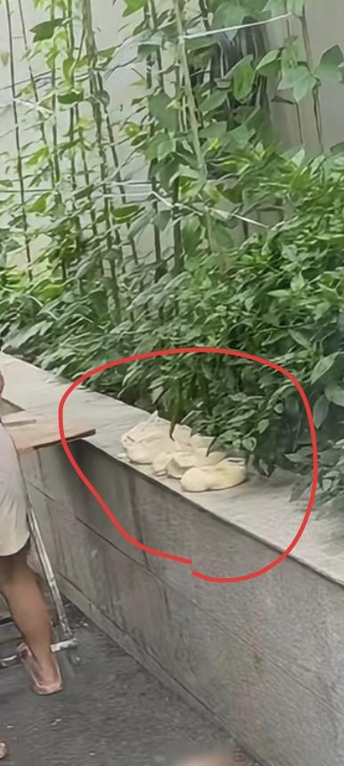 乍一看酱香饼面包直接放台子上，会不会有保鲜膜，毕竟是面食如果沾有小石子是去不掉的