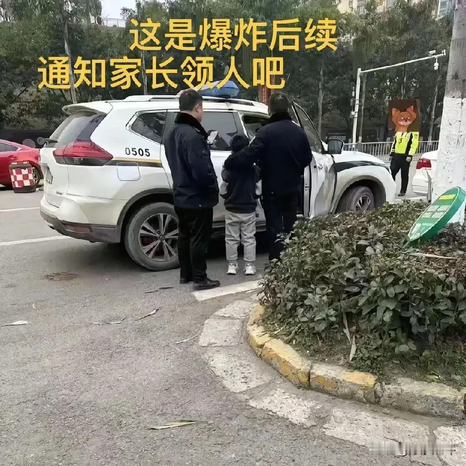 炸翻豪车小孩哥被警察带走，网友却说责任另有其人？1月29日，四川资中，小孩哥往下