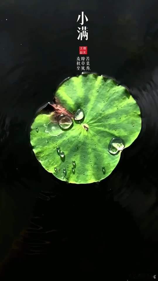 今日小满：小满者，物致于此小得盈满。月满则缺，水满则溢，故，小满甚好甚好。小满才