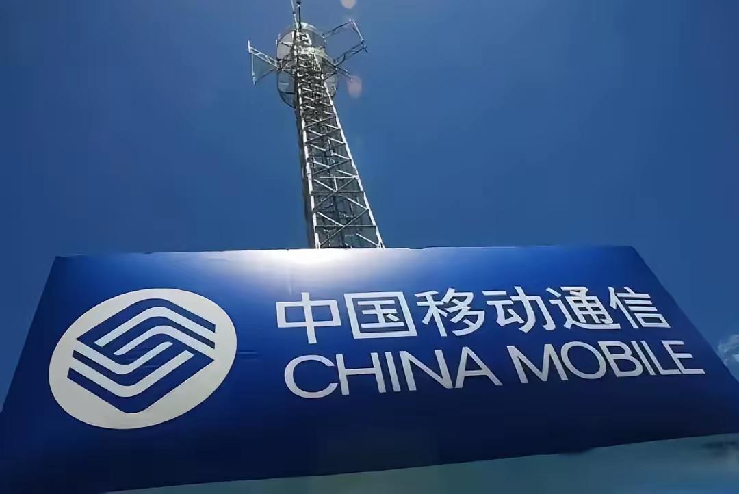 中国三大通讯运营商排行：1、中国移动：10.09亿户2.、中国电信：4.37