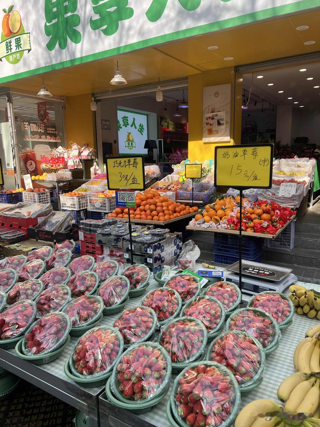 真是想不到，西安城里的草莓🍓居然比白鹿原上的还便宜品质又好今天上午路过