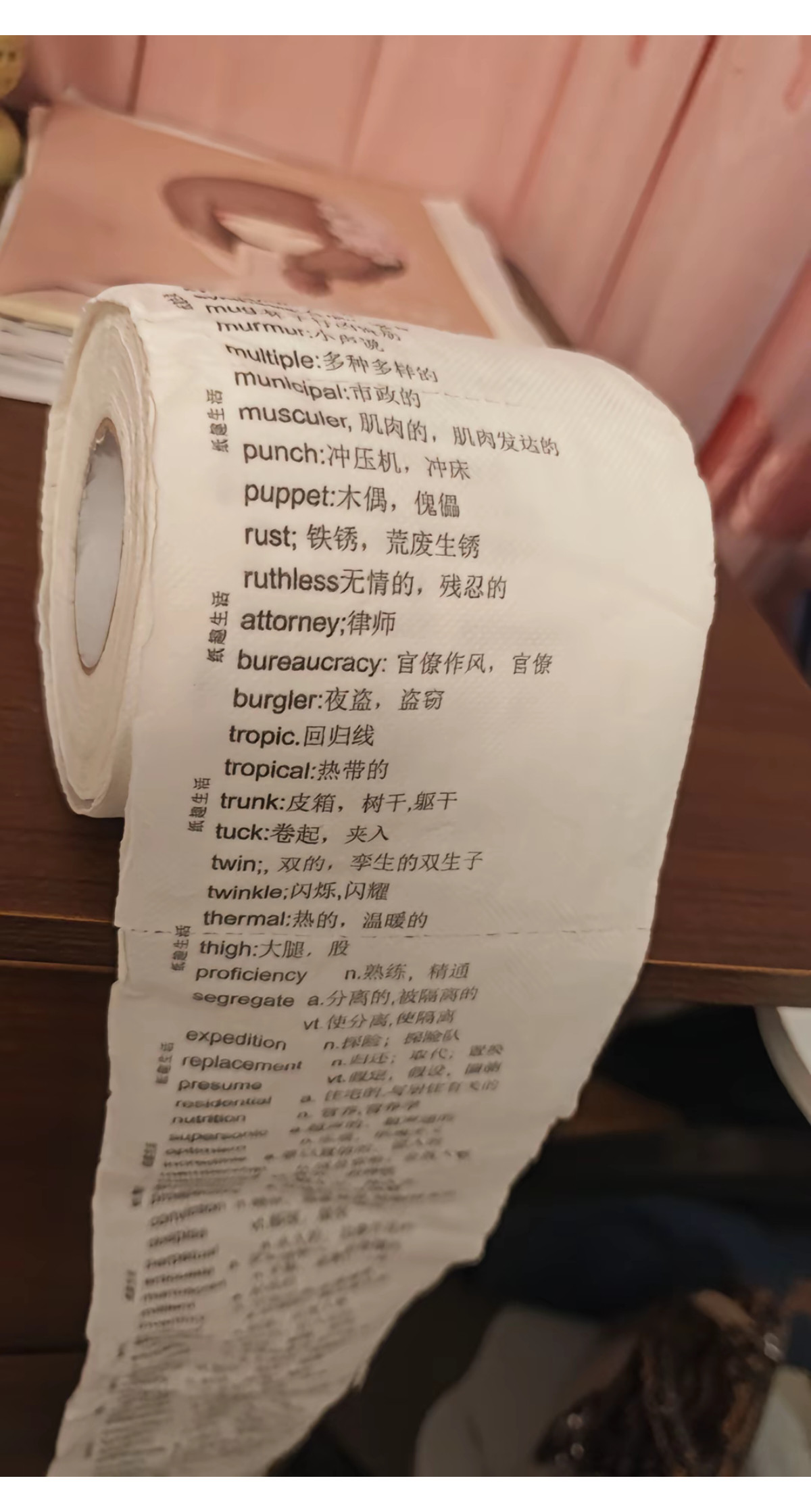 山东真是爱学习的城市饼干、纸巾、垃圾桶、食用碗都是学习资料