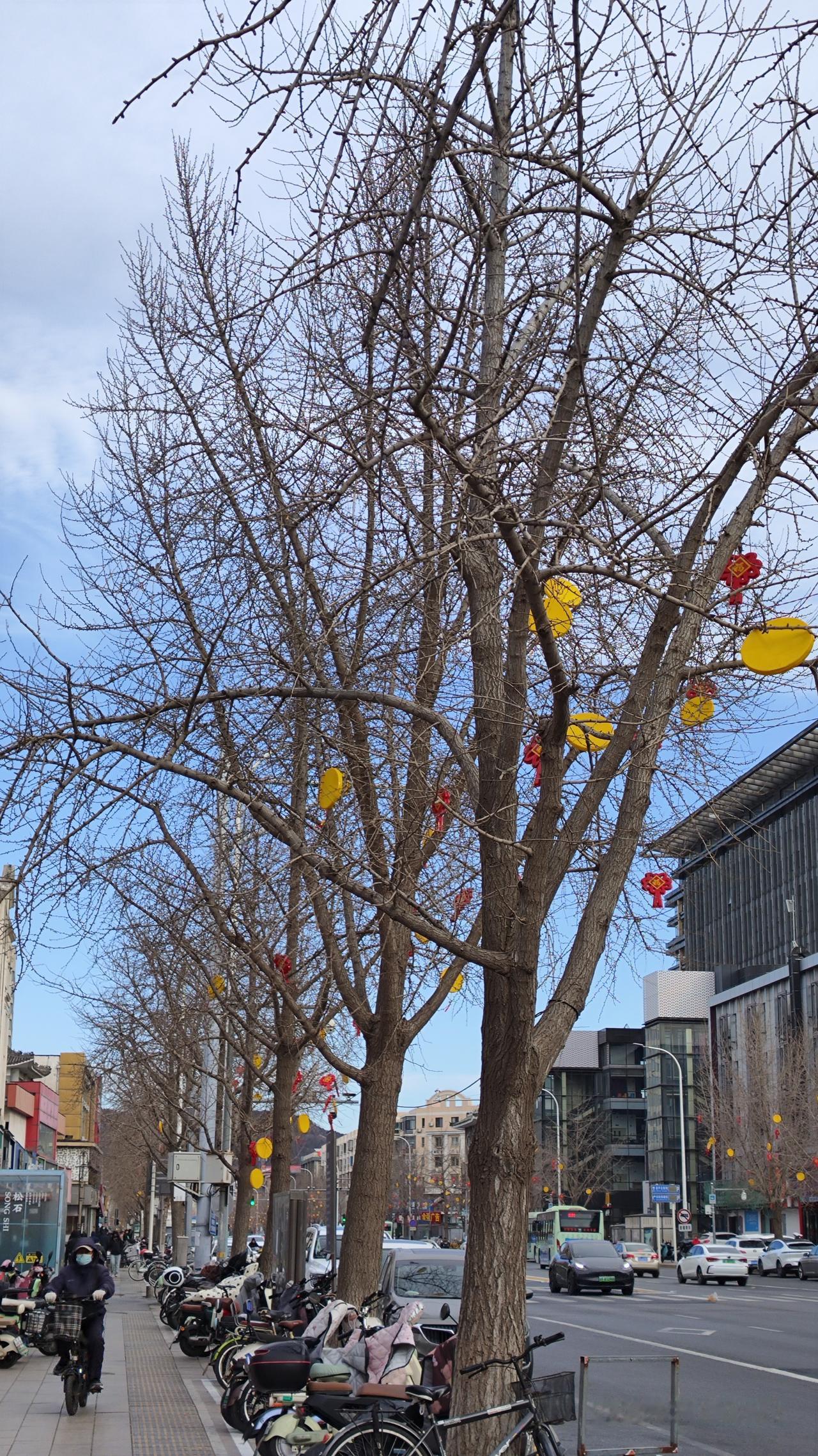 从河北到北京来找老公过年，本来想图清净，现在生气中。平时我在家给婆婆做饭。