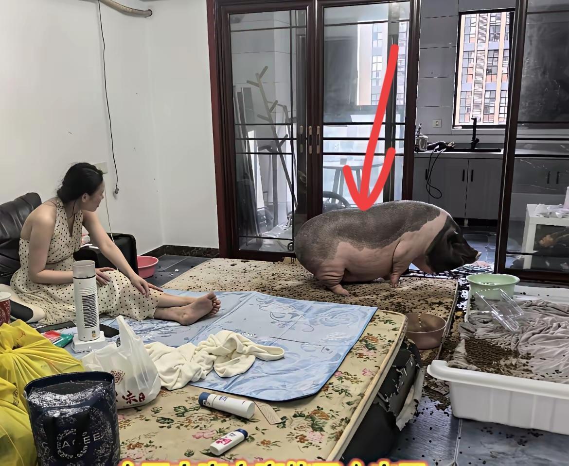 《网友表示修个电，居然撞见500斤“室友”和美女共居！这操作我懵了》谁懂啊