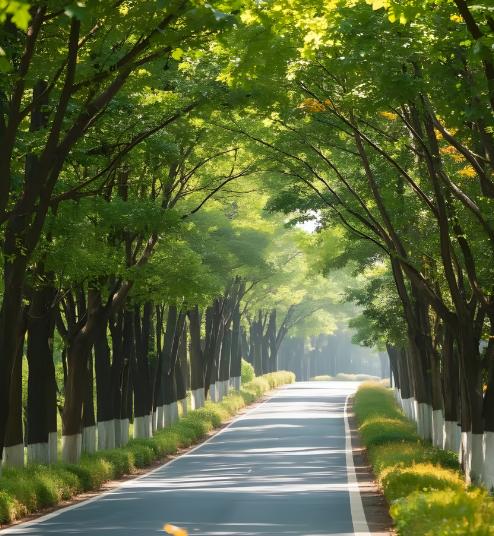 心理学家说：“有人总想多挣钱，其实挣到一百万和一千万没有本质区别。多出来的钱