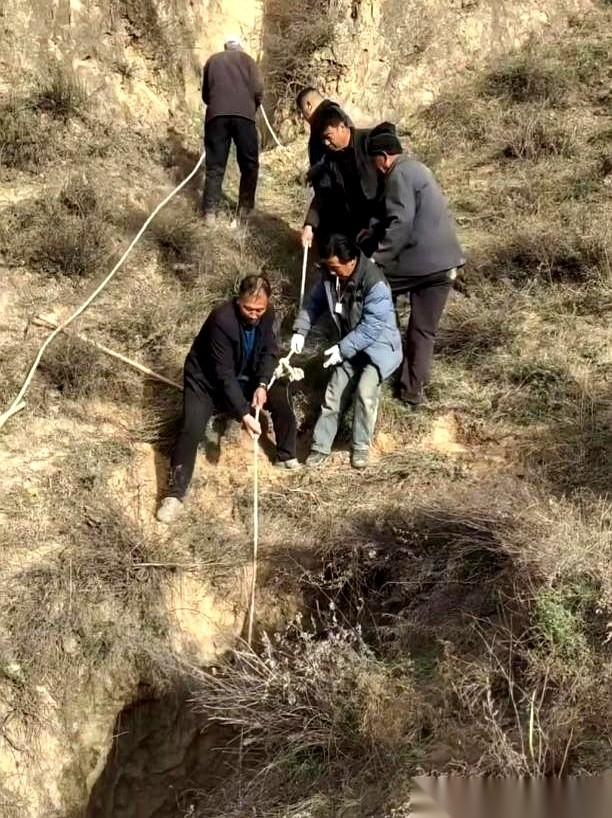 “不救了。”陕西榆林，一个男人死死盯着山坡上那个黑黢黢的洞口，眼眶通红，喉结滚