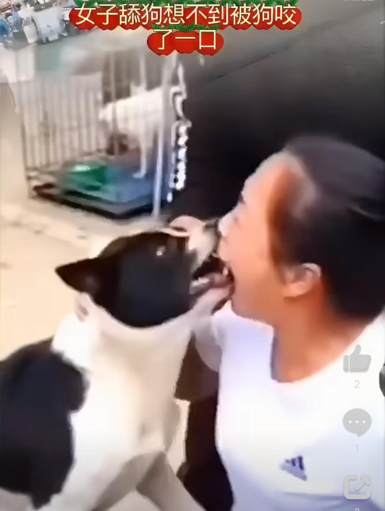 恐怖，女子亲狗，反被狗死死咬住，任边上的人怎么拍打狗头也没用，狗就是不松口。这个