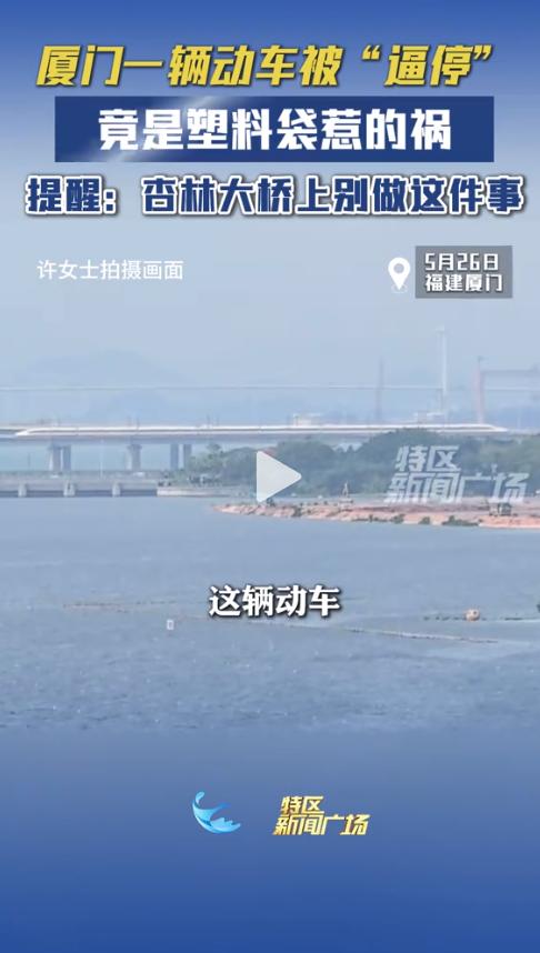 真没想到！一趟正平稳行驶在厦门杏林大桥上的动车，突然毫无征兆地被“逼停”了。全车