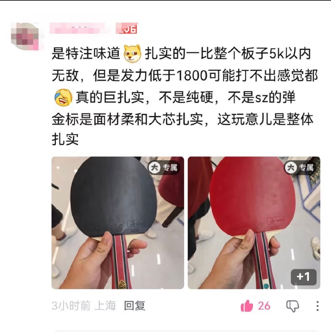 来自樊振东的顶级top商业影响力，樊振东的拍子金标ALC也是乒拍一，一拍难求！真