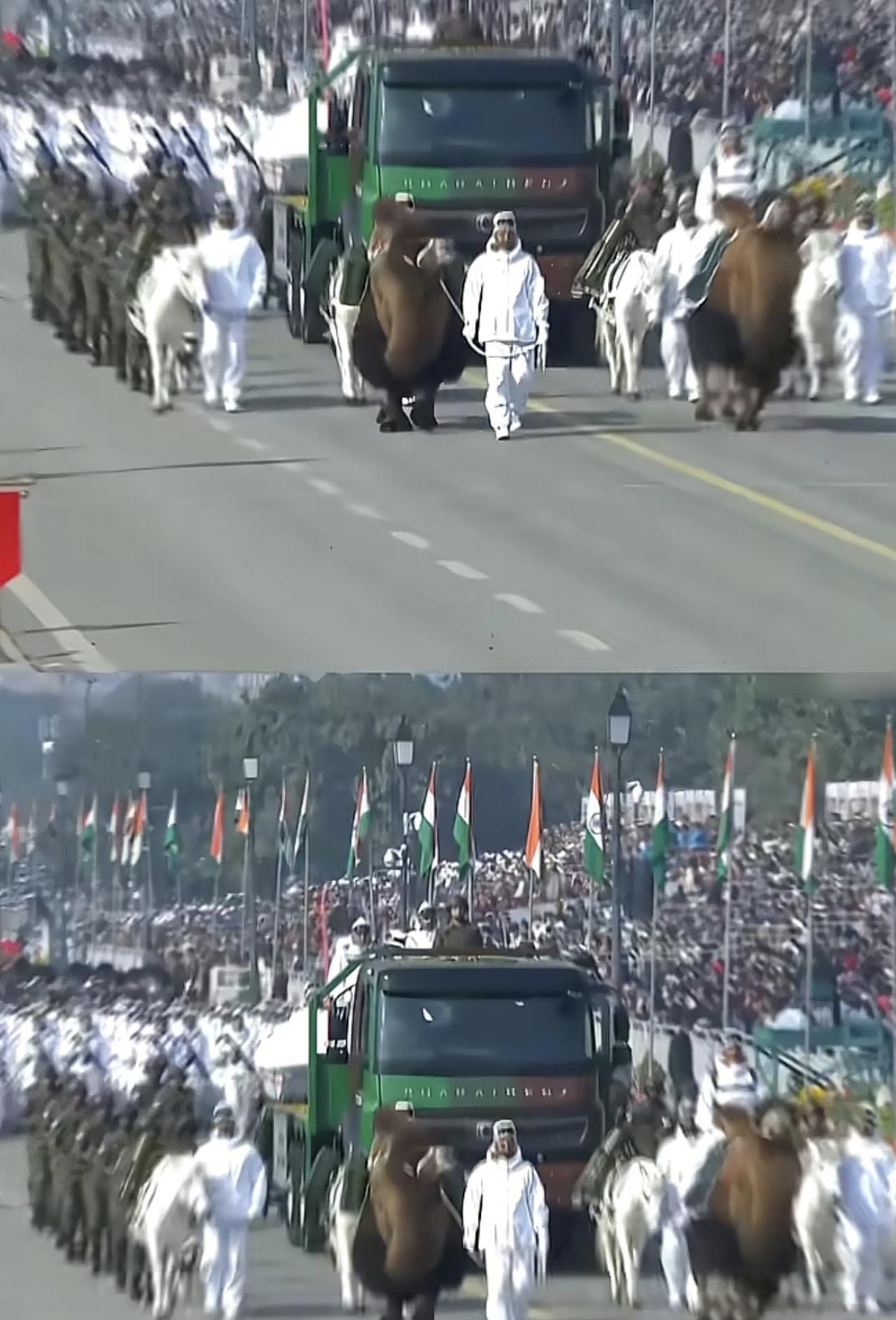 印:我家大阅兵怎么样俄:摩托车表演很精彩啊印:阿中你怎么看中:动物方阵