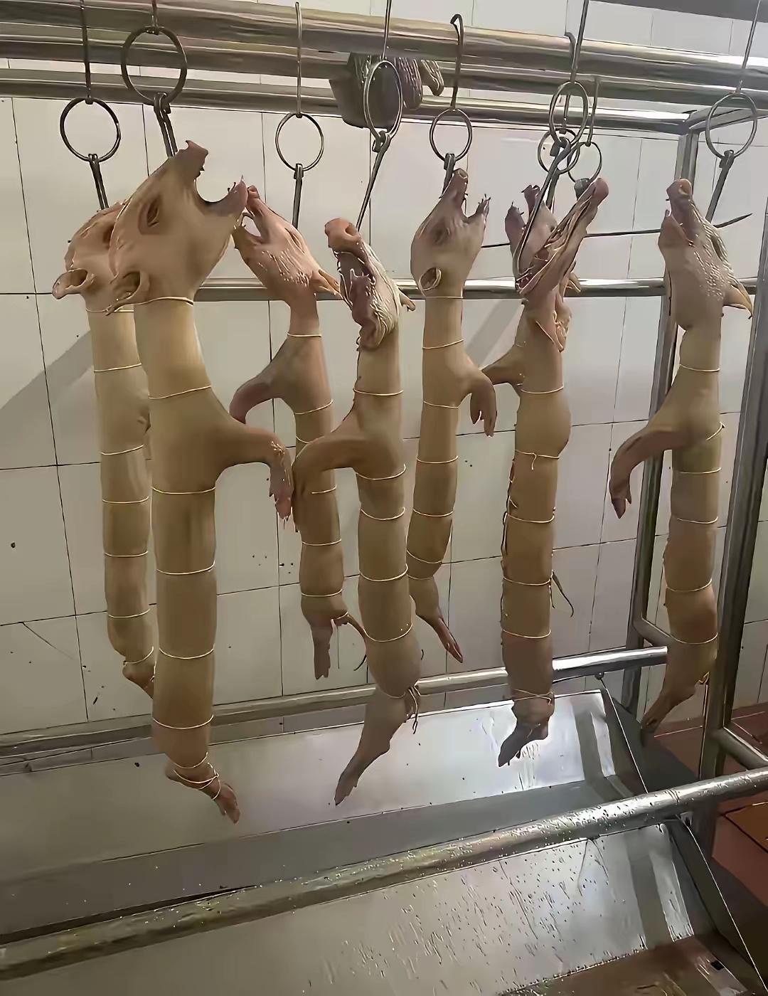 这是什么鬼