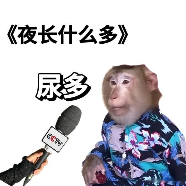 脑子和耳朵不在同一平行线上主打已读乱回搞笑幽默搞笑日常神评论搞笑​​​