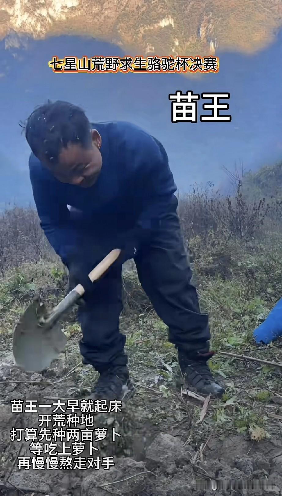 荒野求生决赛苗王直接种地!“苗王”拿锄头开两亩萝卜地：等丰收熬走对手张