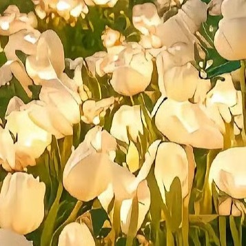 每日一善每一段无法继续的爱情，都有负责保存它的人，才能让另一个人安心往前