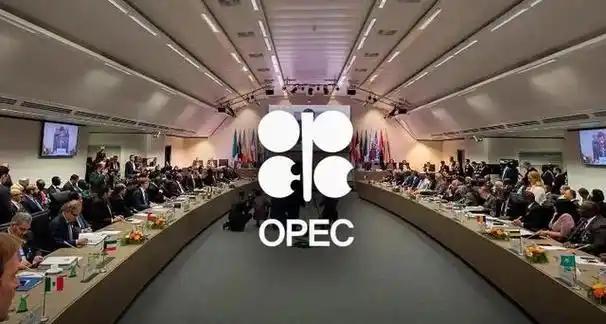 阿联酋突然”叛变”，OPEC+彻底分裂了！5月3日阿拉伯石油输出国组织正式确认，