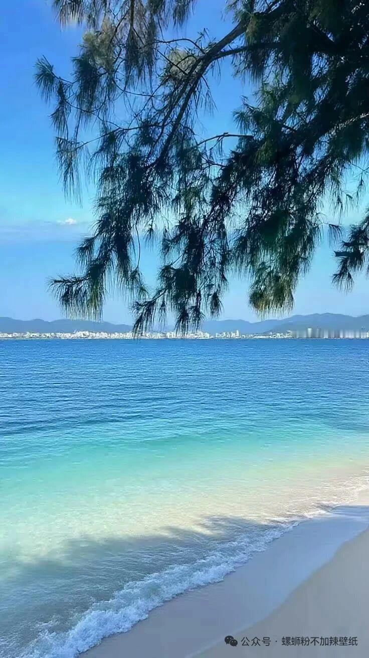 苏老师告诉我：气沉丹田，是松出来的一听到“气沉丹田”，我就猛吸一口气，肚子鼓