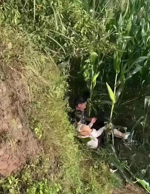 这两老登，约会也不找个好地方，吓我一跳