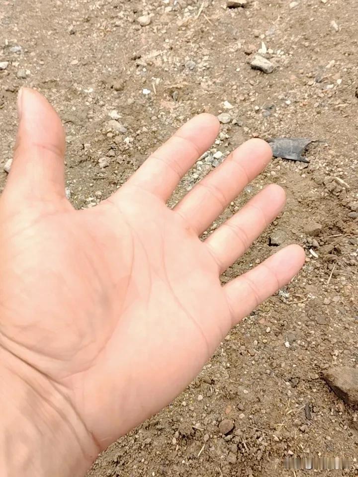 我认为相爱的，人民日报一句话说透了婚姻本质:这是你唯一一次亲自选择的家人。202