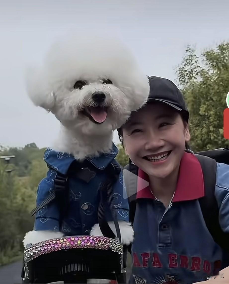 真的有会笑的狗狗🐶吗？[呲牙笑]这个小比熊跟主人笑起来简直一模一样哈哈😄