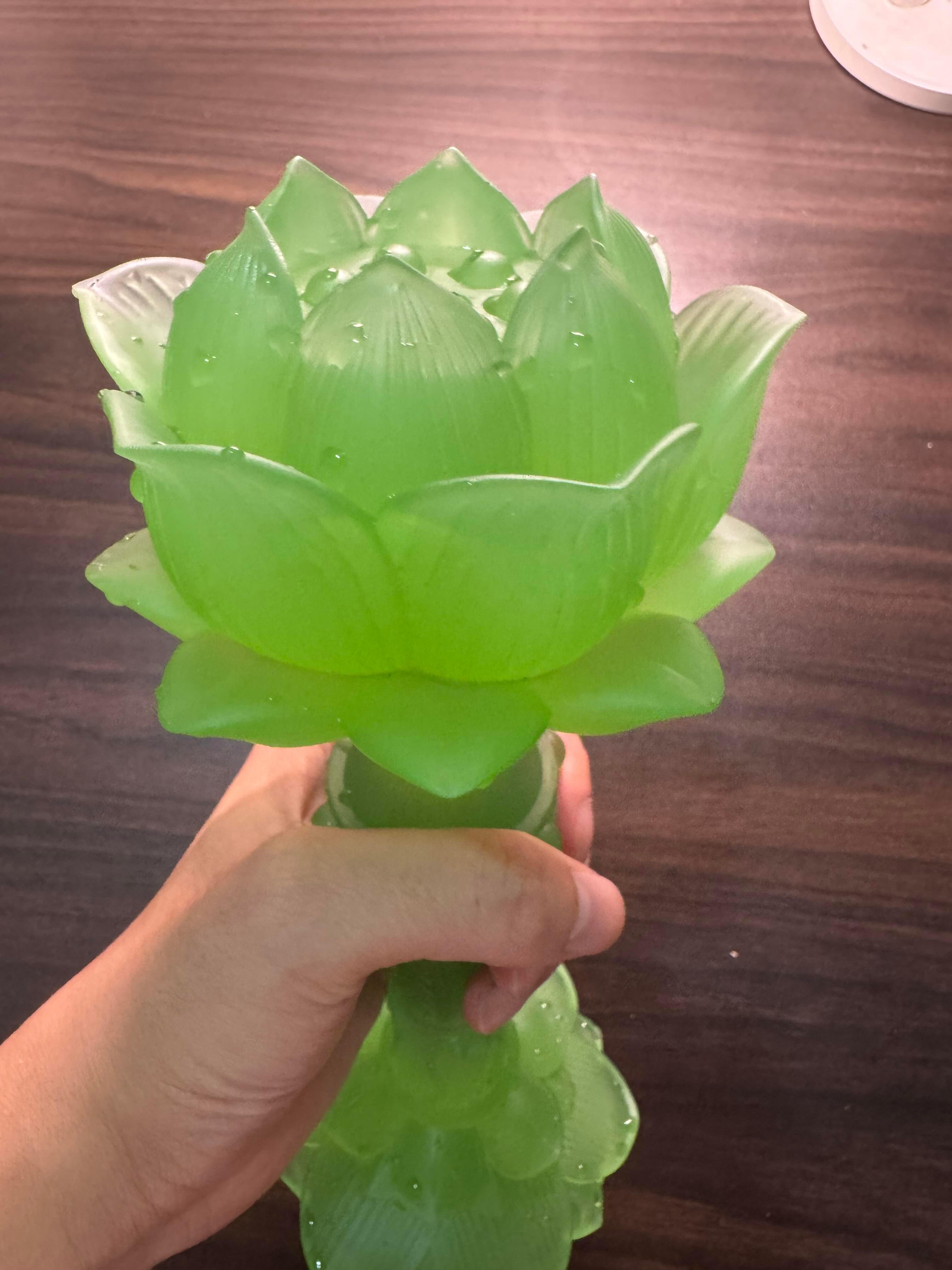 笑死我买的宝莲灯到货了