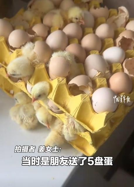 “意外的惊喜！”7月7日，山东青岛，一女子因天气炎热离家2天，回家打开门后，全家