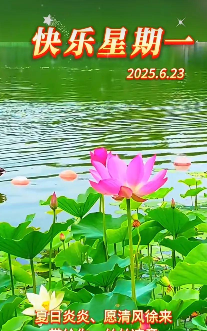 夏日清凉，快乐星期一！