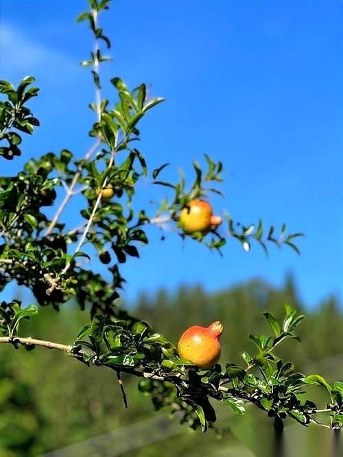 车钥匙递过去那一秒，你就不是车主了，是“孙子”。磕了碰了，你都不好意思开口，生
