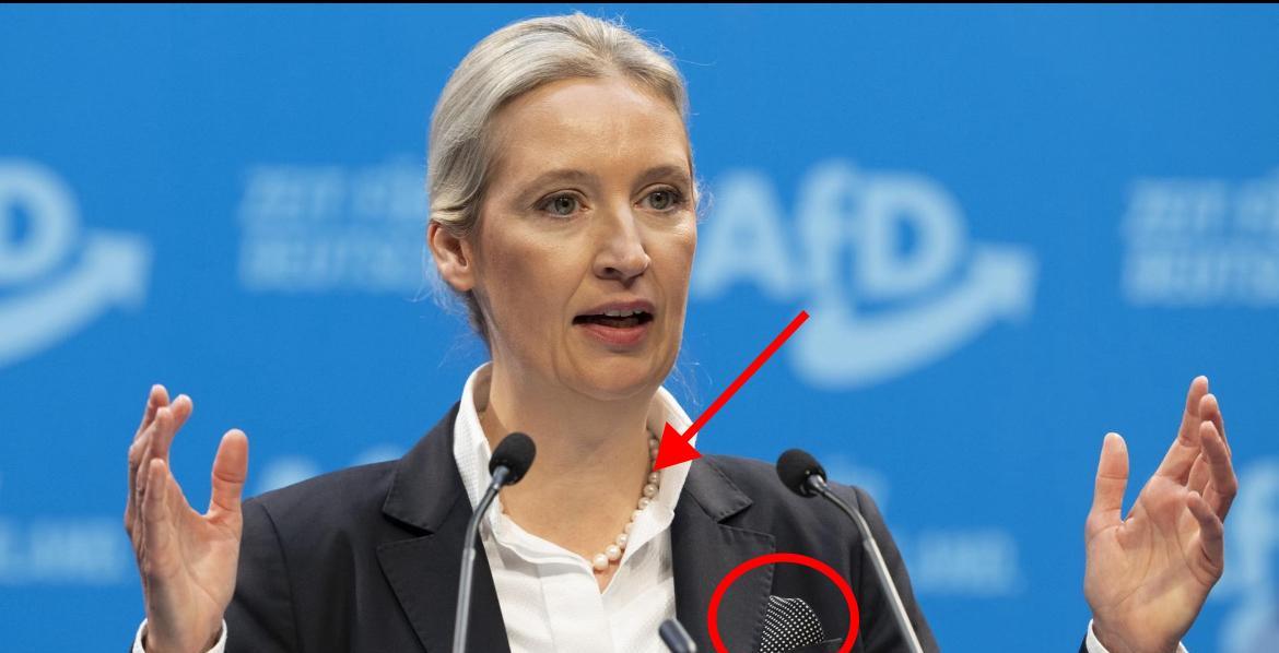 德国魏德尔说：第一次是抗美援朝；第二次是全球关税战。咱中国人一贯谦逊，觉得