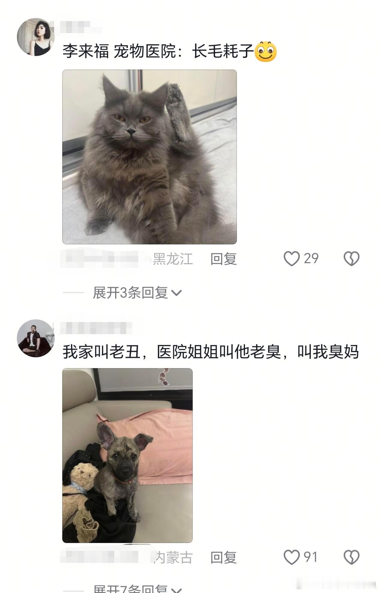 中国人就是平平无奇的取名小天才