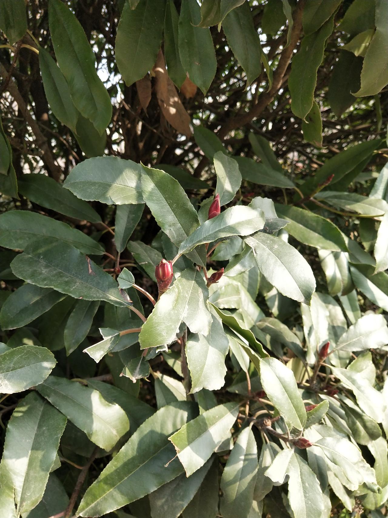 寒假作业要求不允许布置让家长打印的作业。确实能减轻家长的负担。我是举双手赞成