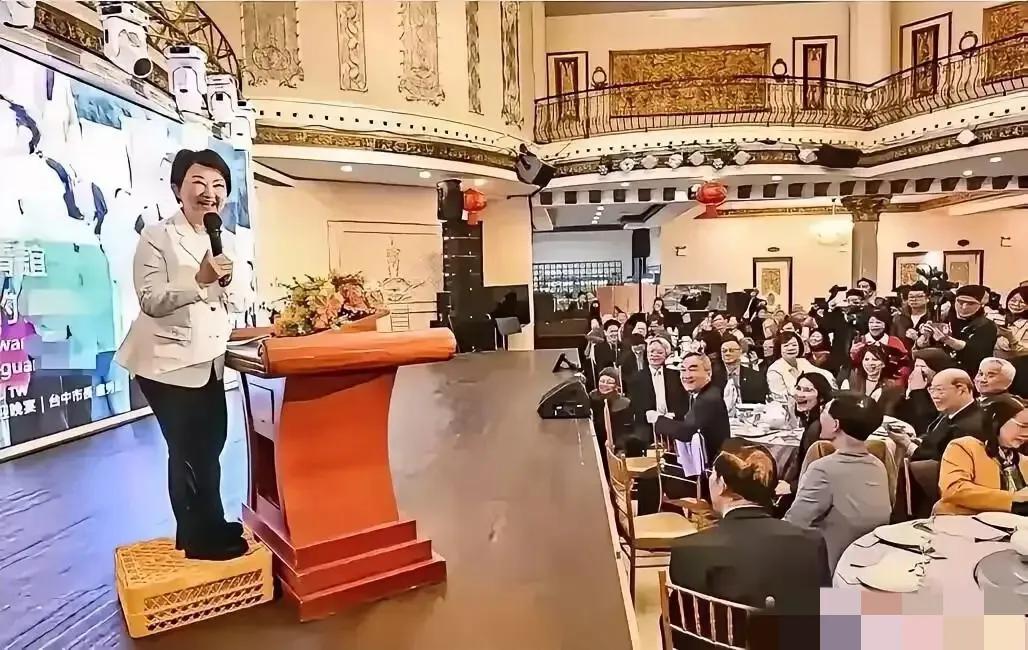 台中市长卢秀燕当地时间3月14日，在纽约参加侨界欢迎晚宴时，就两岸关系放话：“要