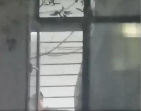 《论“被看上”的蝴蝶效应》最近河北某局长的“索贿连续剧”里，一句“我看上你了