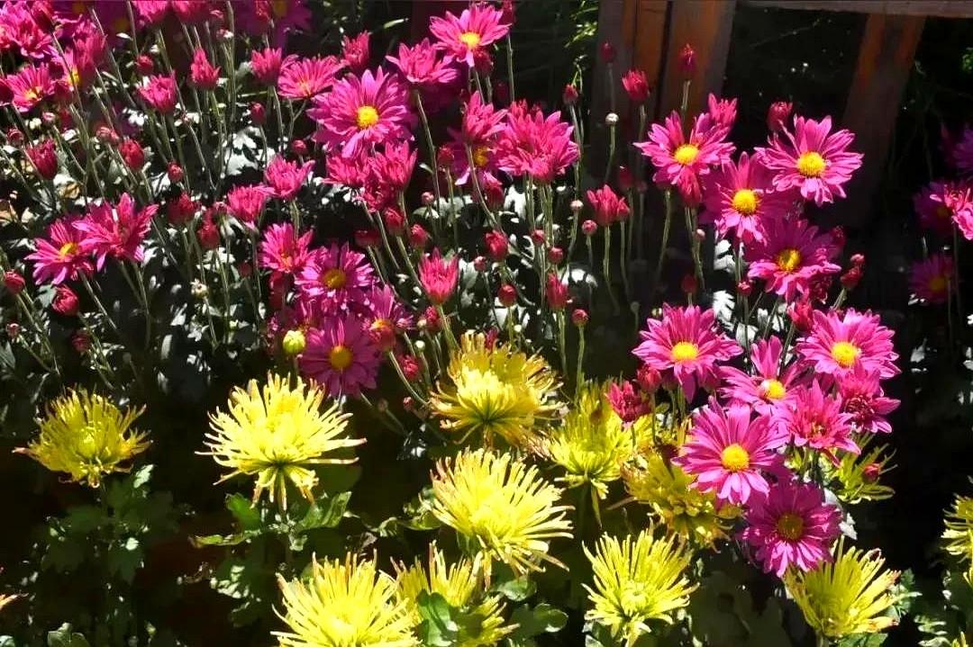 “暖气来了，可张大爷还是把棉袄裹得紧紧的。”10月27日，凉州供暖第三天，有