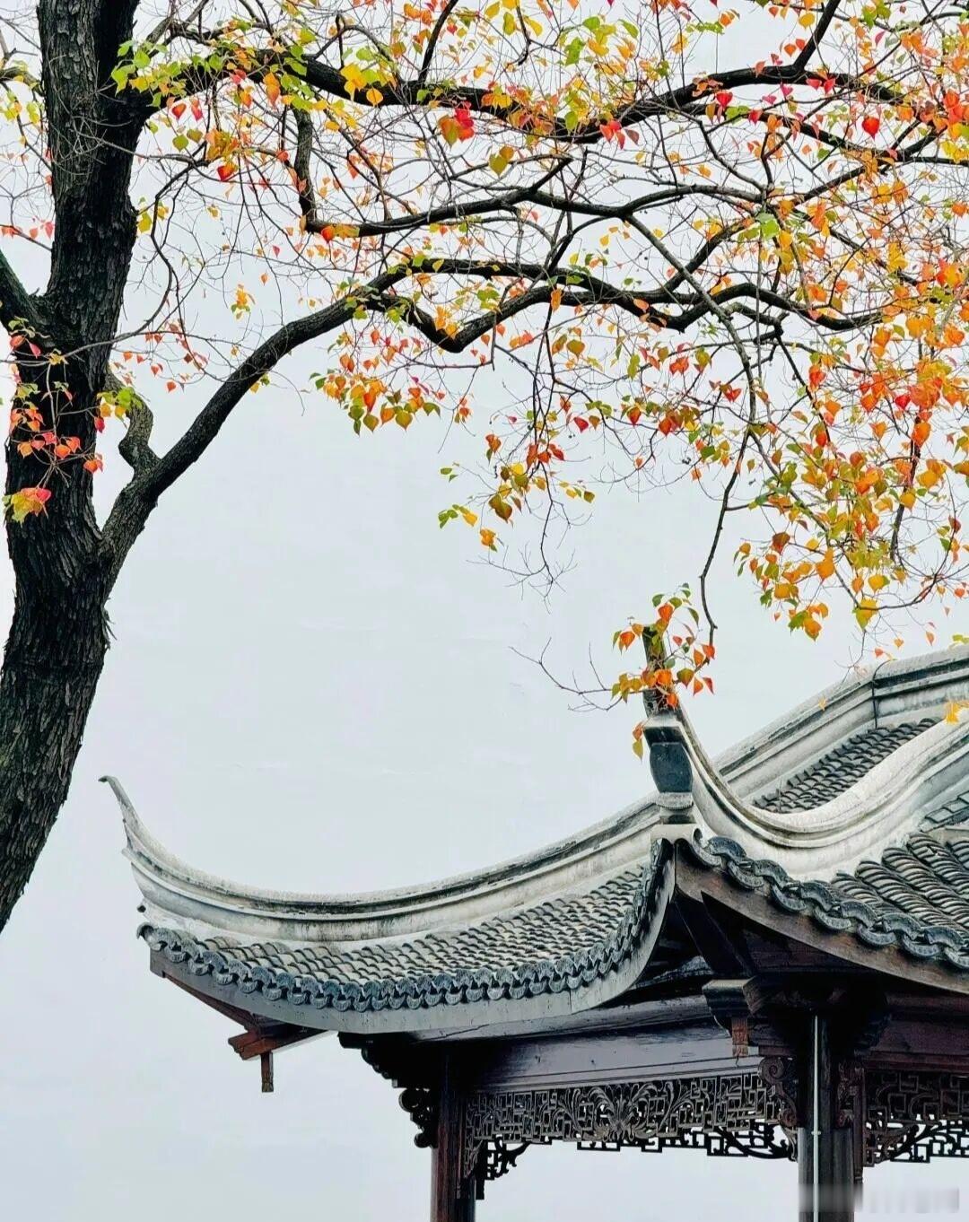 被朱元璋当做自己人的有5个家族：徐达、李文忠、汤和、沐英和郭英！1，魏国公徐达。