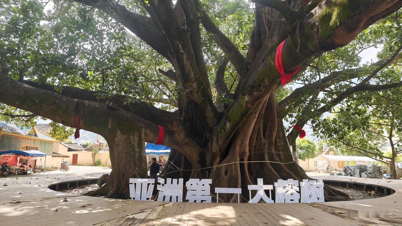 [环国行摄】第三阶段西部篇D46天总第101天(3.31)：泸水市~知子罗1.