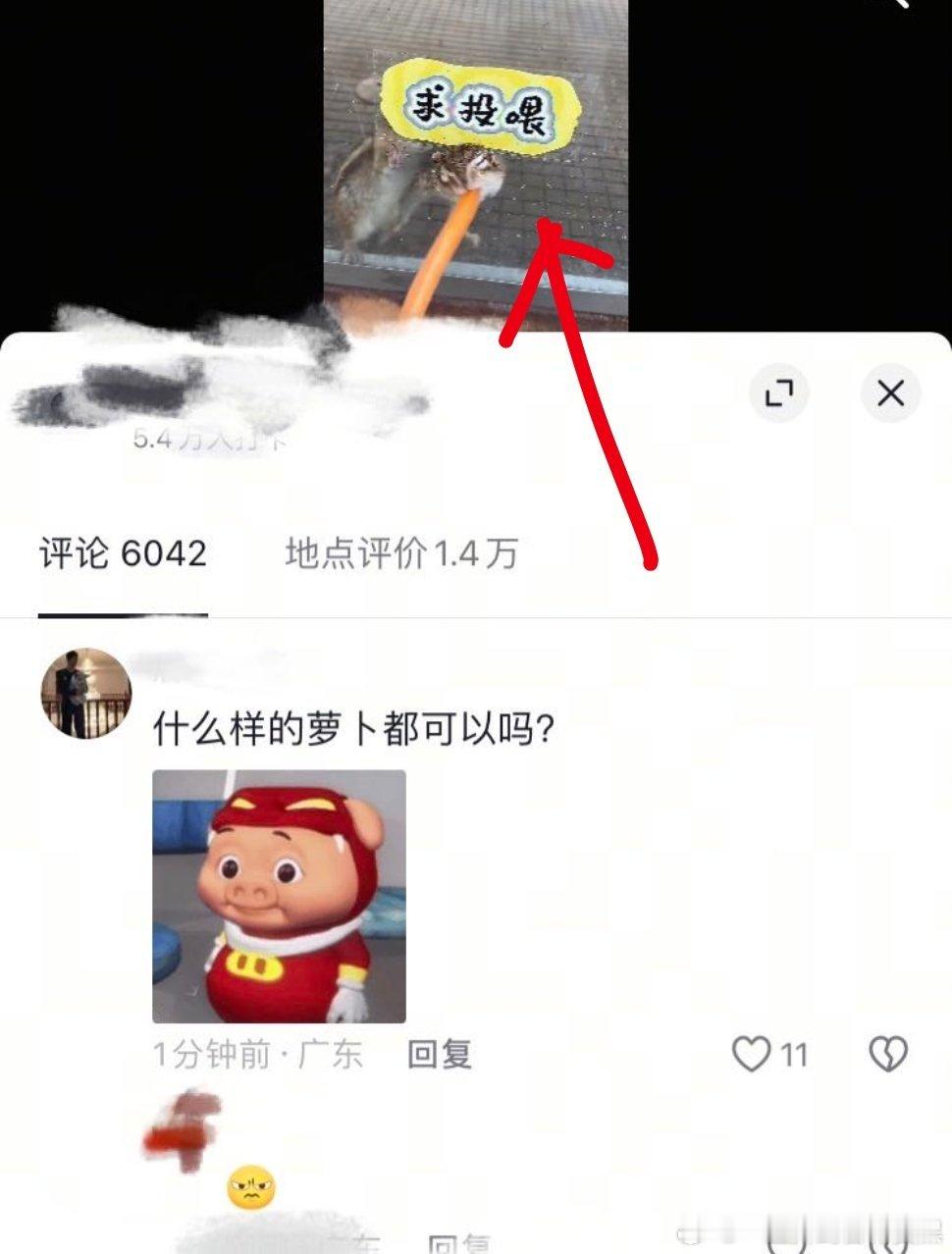 我真的要吐了，什么时候可以正常看视频啊？x压抑就去割了啊