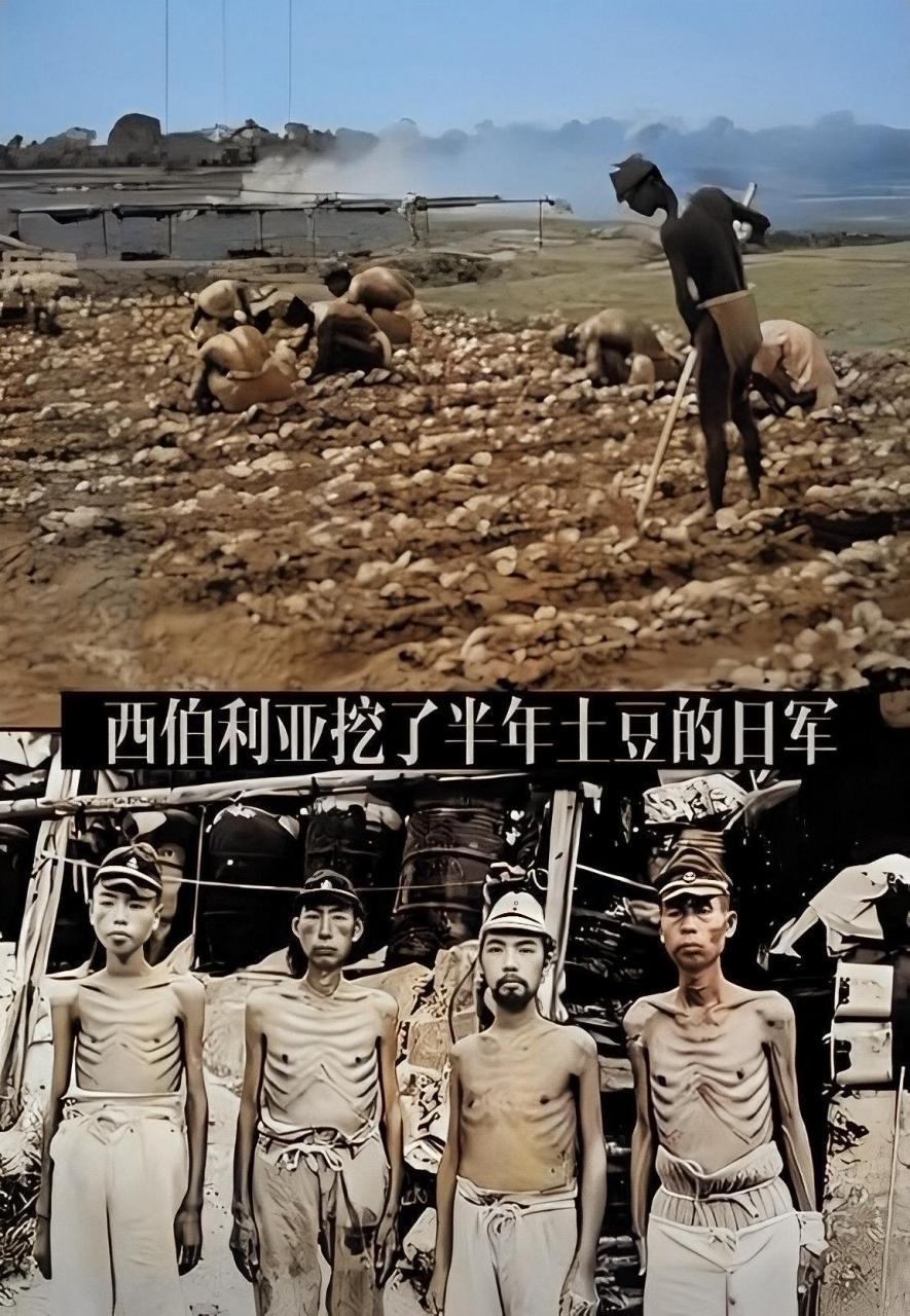 对付日本，我们一定要学俄罗斯！ 日本不怕我们的航母，不怕我们的轰炸机，甚至不