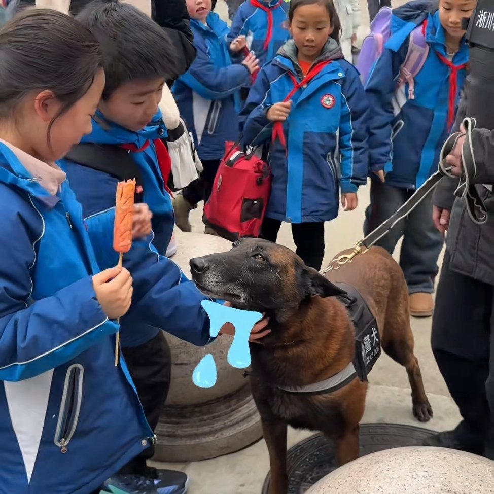 警犬果然守规矩，比海狗强多了。[抠鼻][抠鼻][抠鼻]​​​