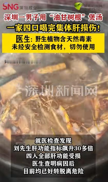 悲剧还是发生了！近日，广东深圳，一男子轻信传闻，上山去采挖“油甘树根”，回家洗干