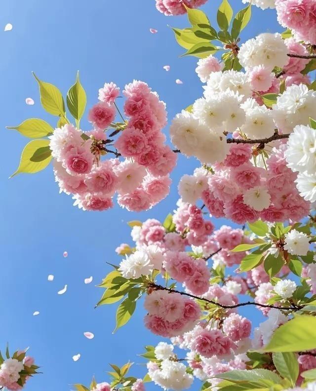 最有智慧的话:“社会上的权色交易比你想象的更普遍，以下几条社会潜规则，你必须搞