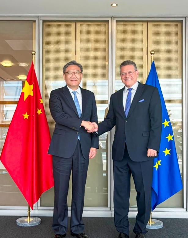 谈成了，欧盟答应中国。当地时间6月29日，商务部部长王文涛在欧盟总部与欧委会