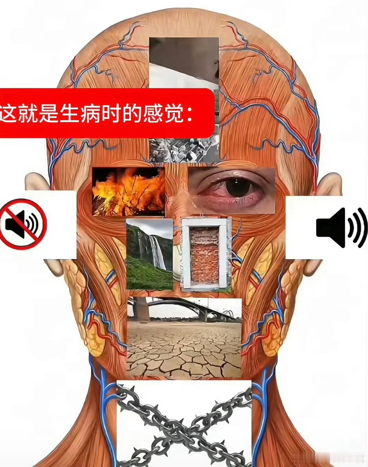 终于有人把我生病的这种感觉形容出来了