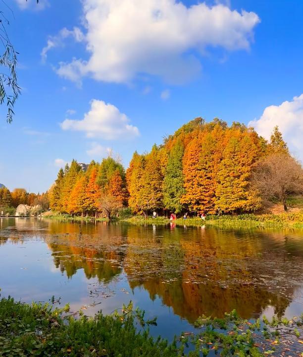 【抑郁是跌倒的“隐形推手”】抑郁这玩意儿，可不只是情绪上的事儿