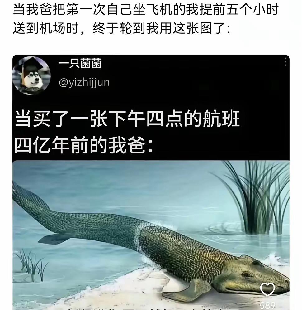 这张图可以笑上一年