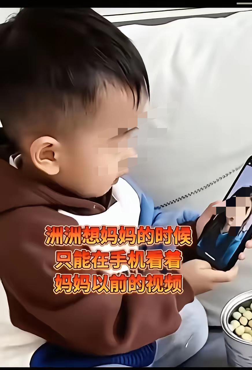 金毛吵着要见儿子洲洲，他知道以后再也没有机会看到了金毛最近心情有点烦躁，