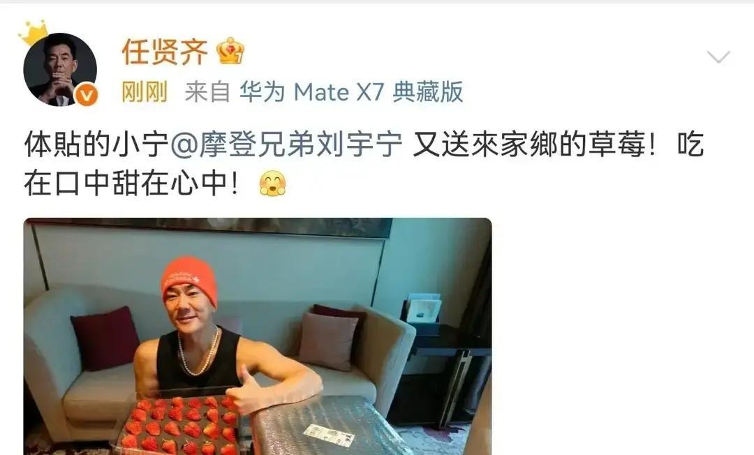 刘宇宁彩排完连夜开车两小时去，挑了最大最红的草莓装箱，第二天任贤齐就晒出九宫格，