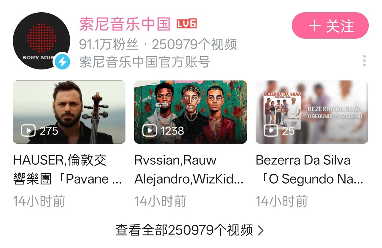 截至目前，索尼音乐已经在b站上传了超过25万条视频，纯粹当网盘用了。这么多东西存