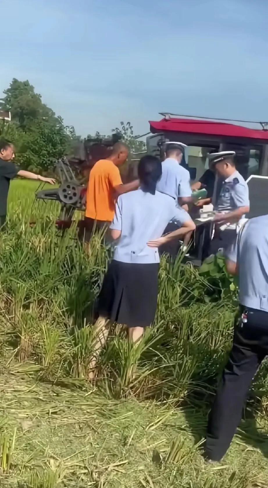 真辛苦，大热天的顶着大太阳在田间地头工作……