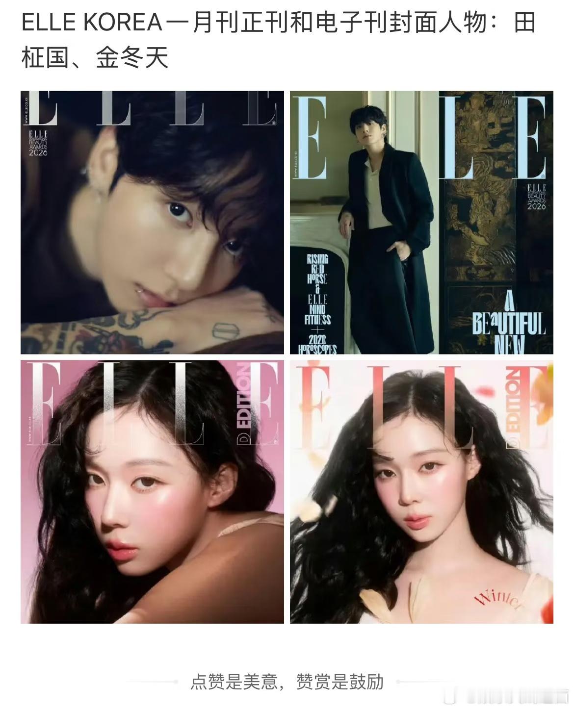 田柾国金冬天韩版ELLE一月刊地狱笑话来了田柾国和金冬天的cpf有福了二人
